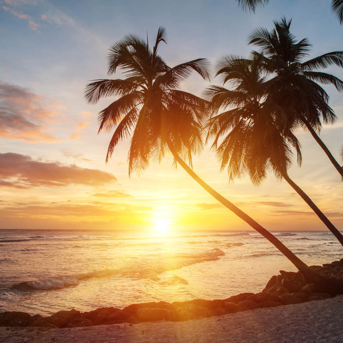 Caribbean